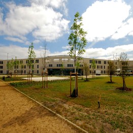Neugepflanzte Bäume vor dem Patientengebäude des LWL-Therapiezentrums